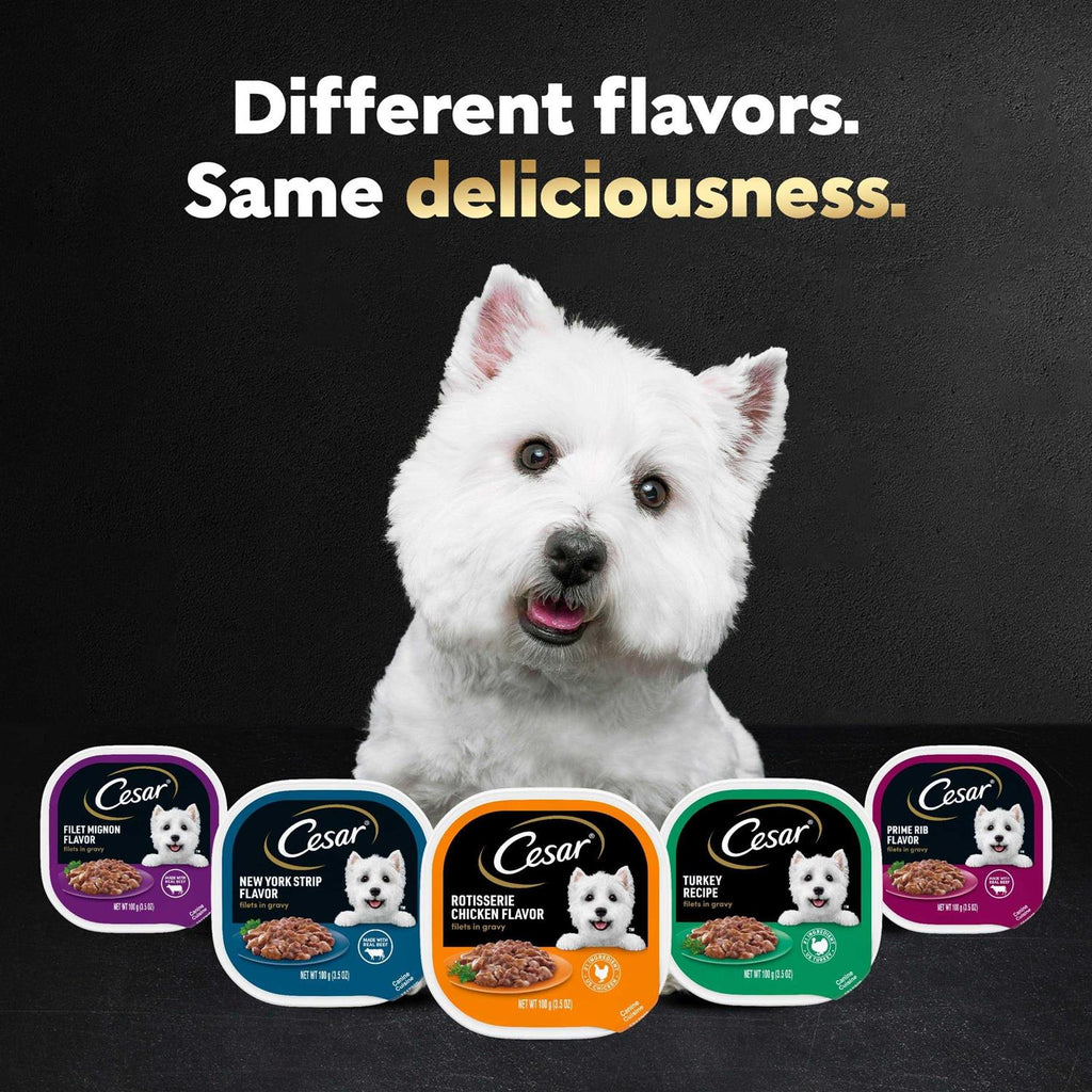 Rotisserie Chicken Flavor Wet Dog Food N278
