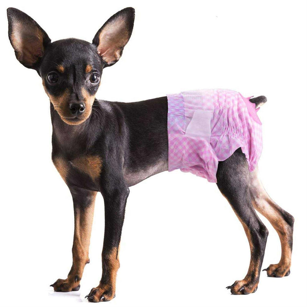 Soft Disposable Dog Diapers U854202