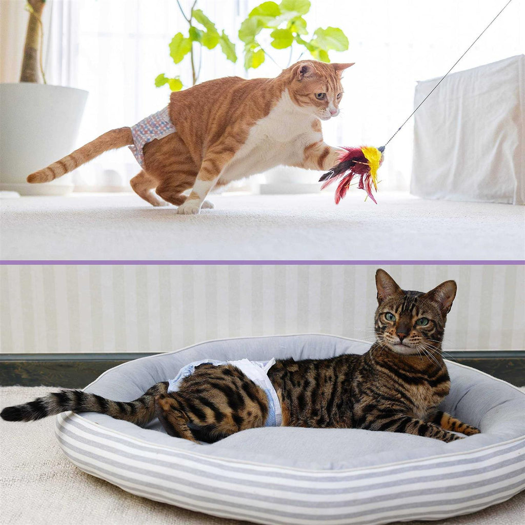 Disposable Cat Diapers T29705