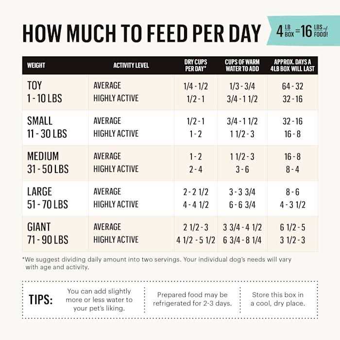 Dehydrated Grain Free Beef Dog Food T956