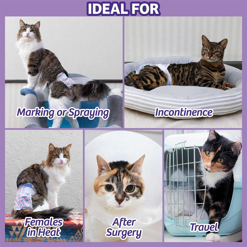 Disposable Cat Diapers T29705