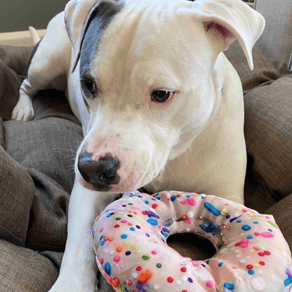 Refillable Donut Dog Toy G68793