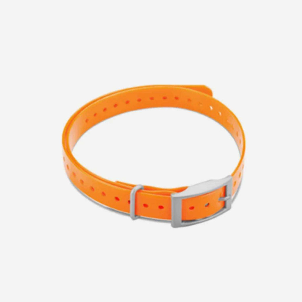 Collar Strap T4293