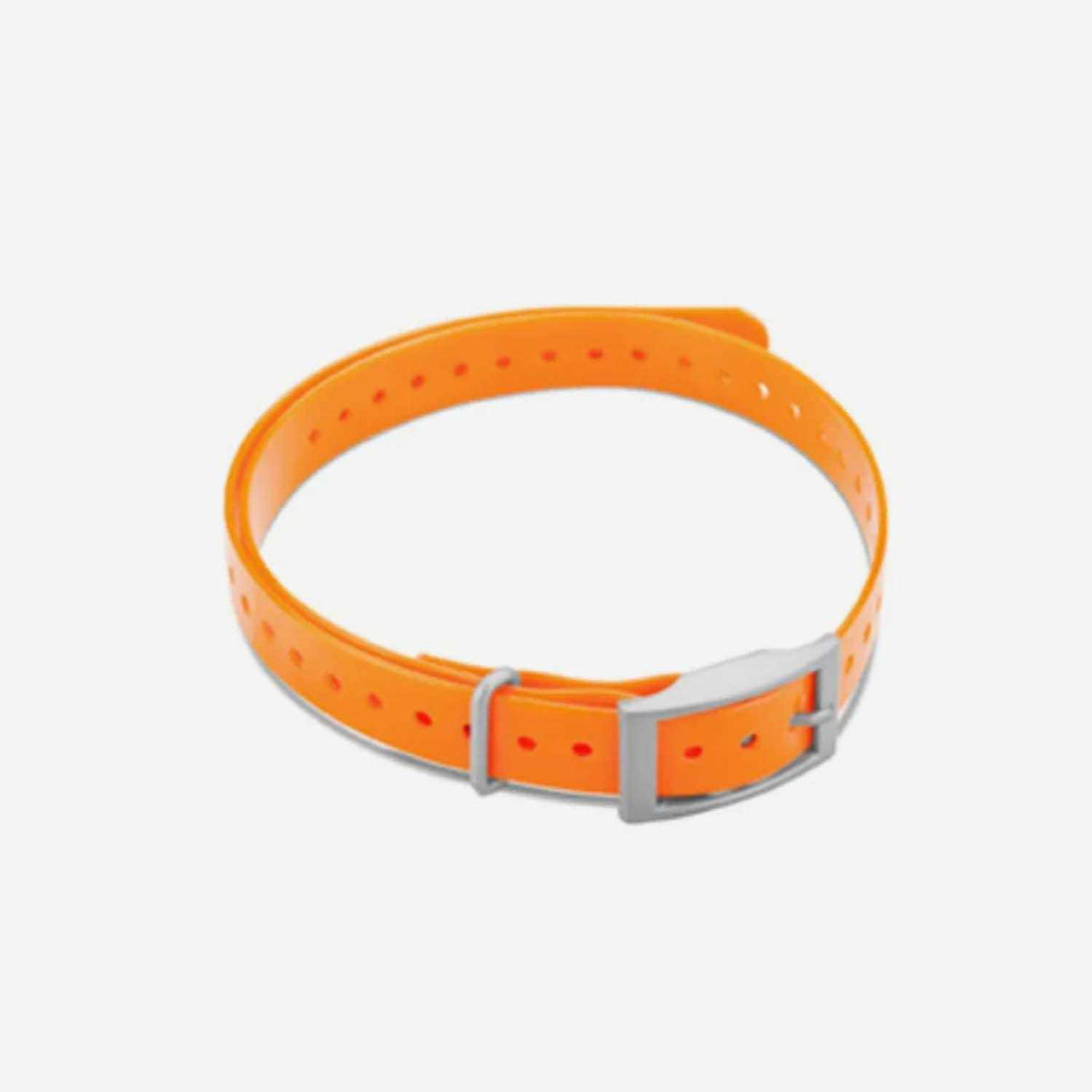 Collar Strap T4293
