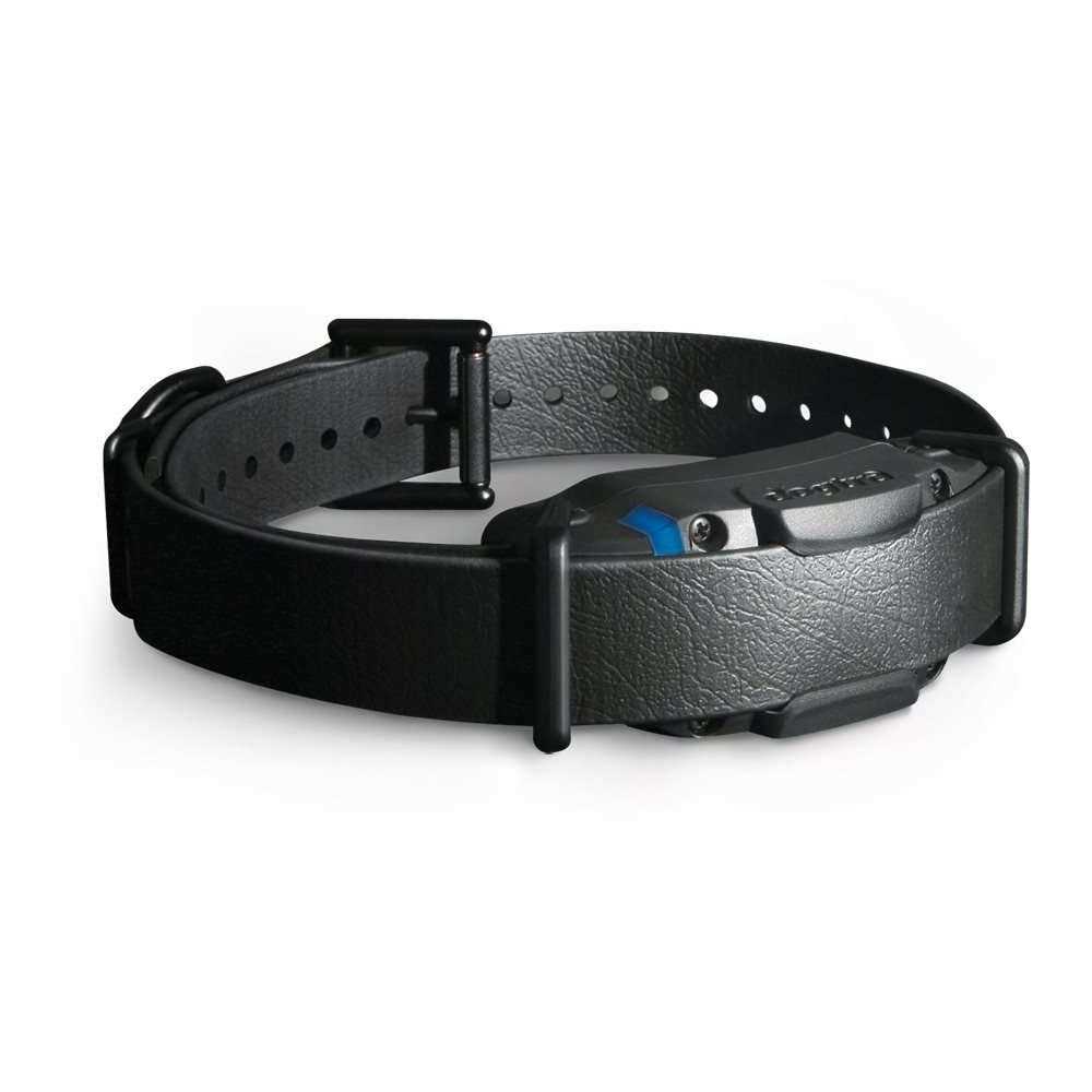 Black 1 Mile Remote Trainer G155