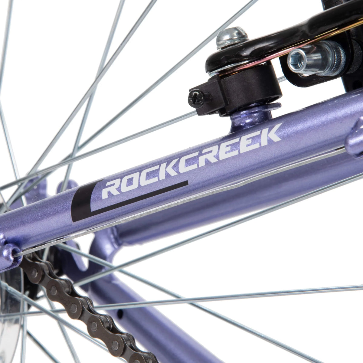 24 Purple Mountain Bike W616519