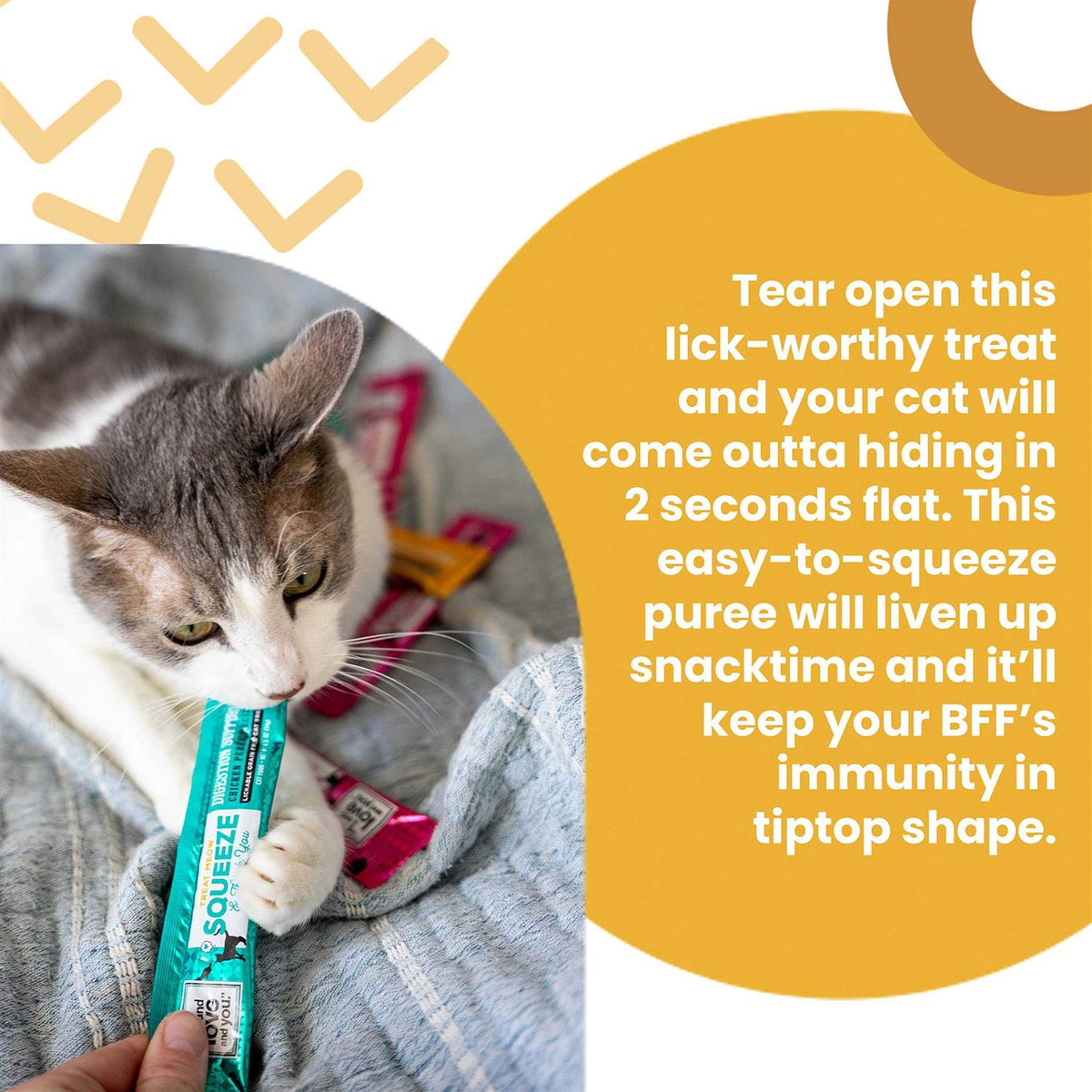 Cat Treat G6213