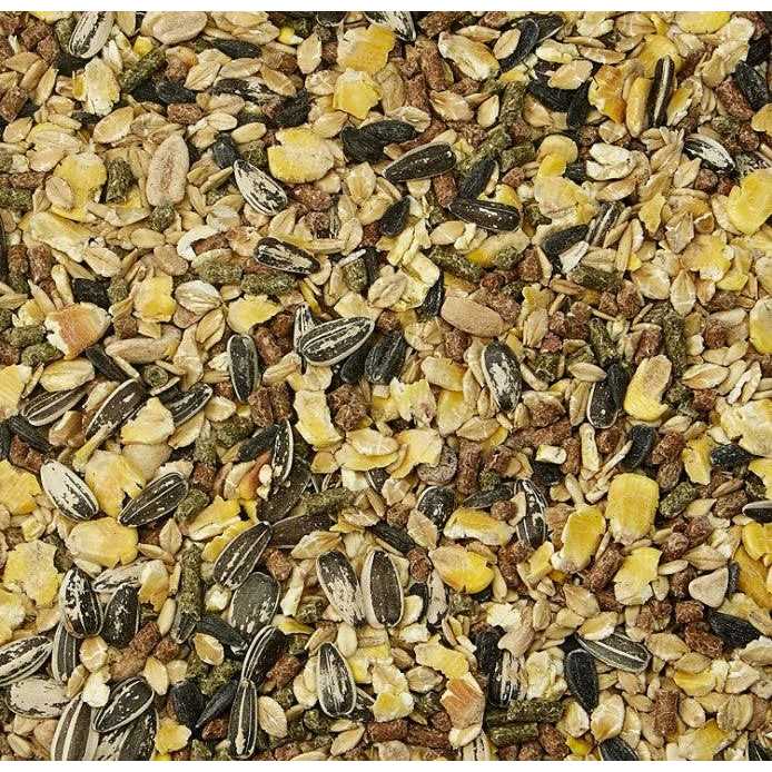Mouse Rat Food Y13917