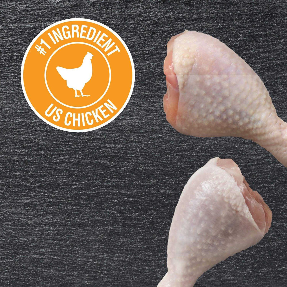 Rotisserie Chicken Flavor Wet Dog Food N278