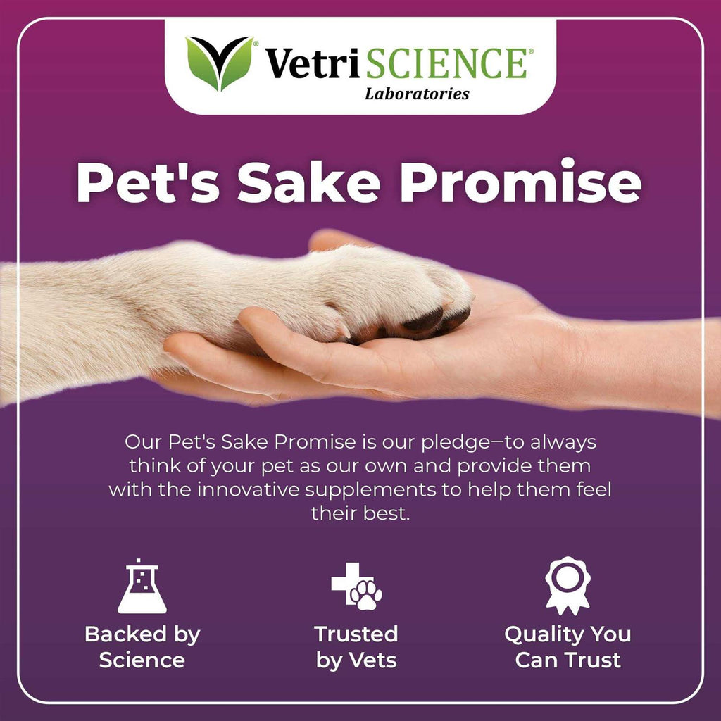 Duck Flavor Supplement for Dogs G793