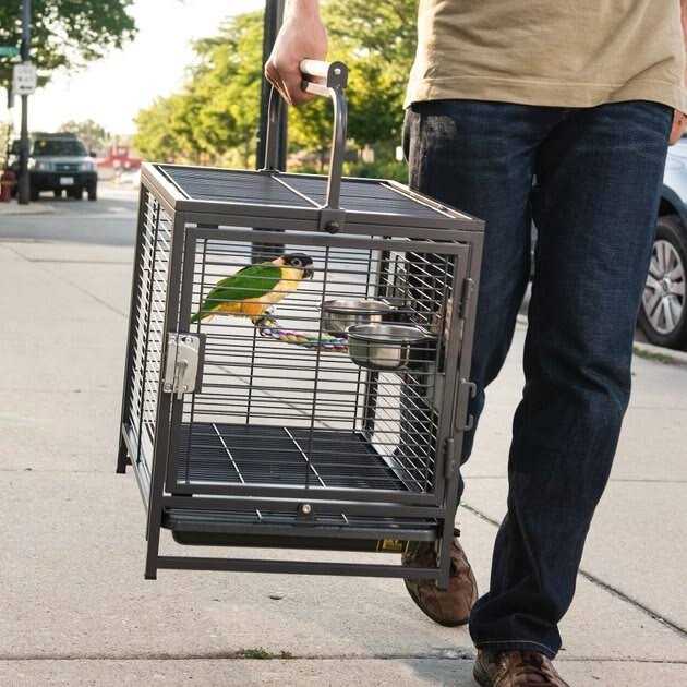 Pet Travel Carrier M6761