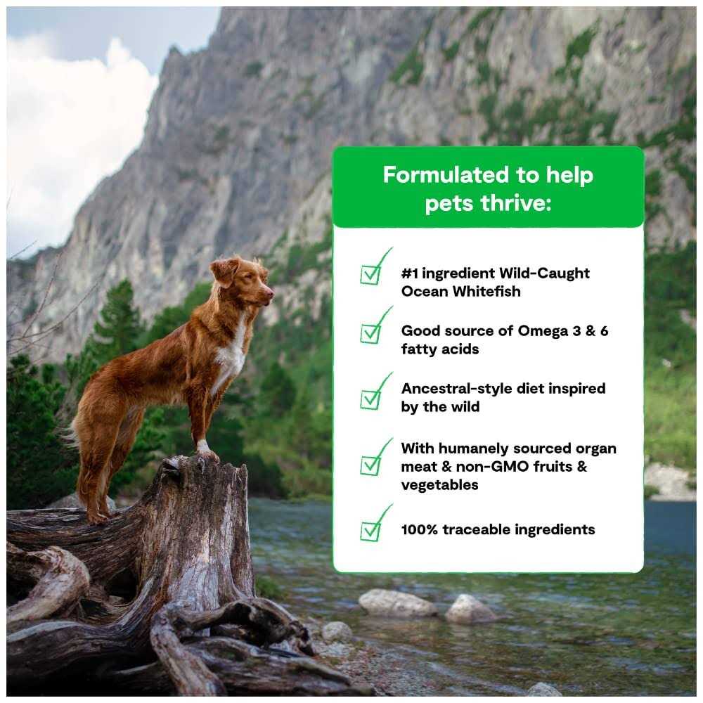 Grain-Free Dog Food G336477