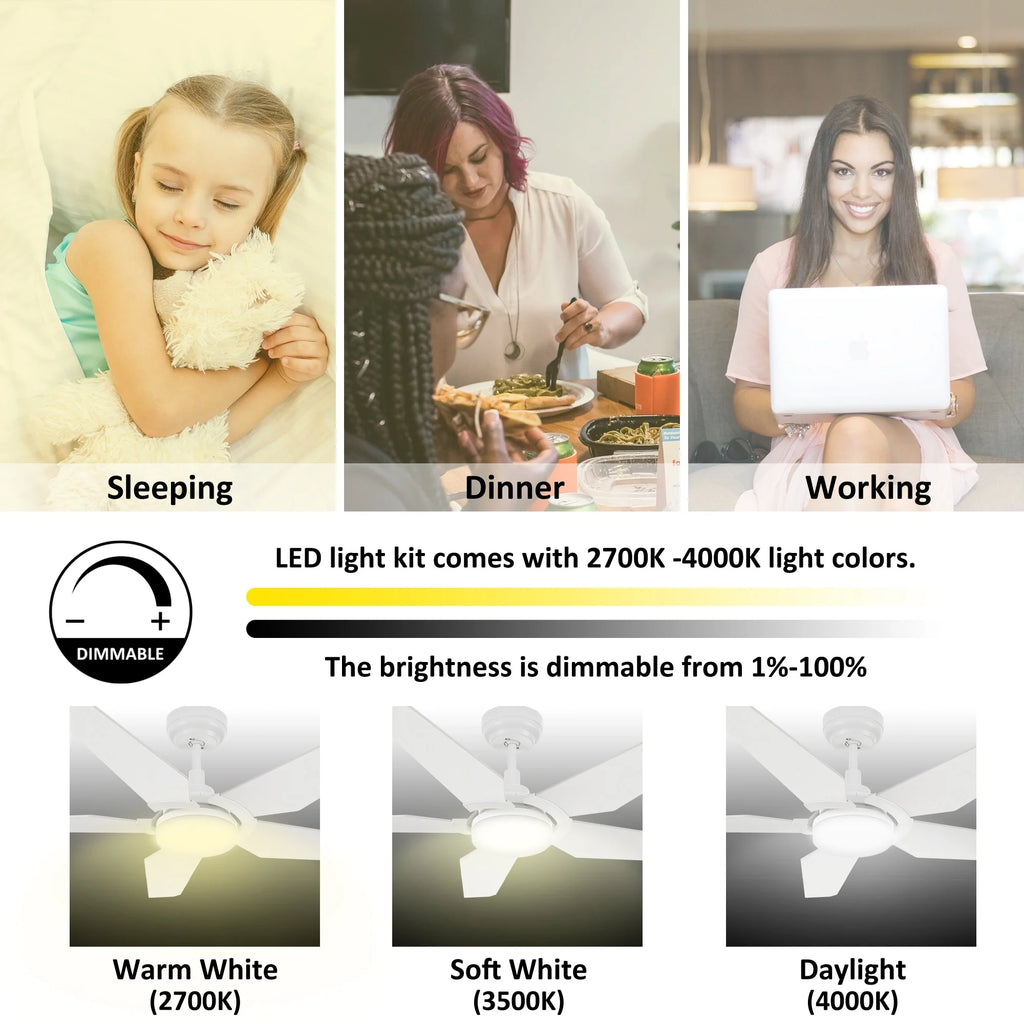 52-inch Indoor/Outdoor Smart Ceiling Fan with LED Light Kit & Remote B7387