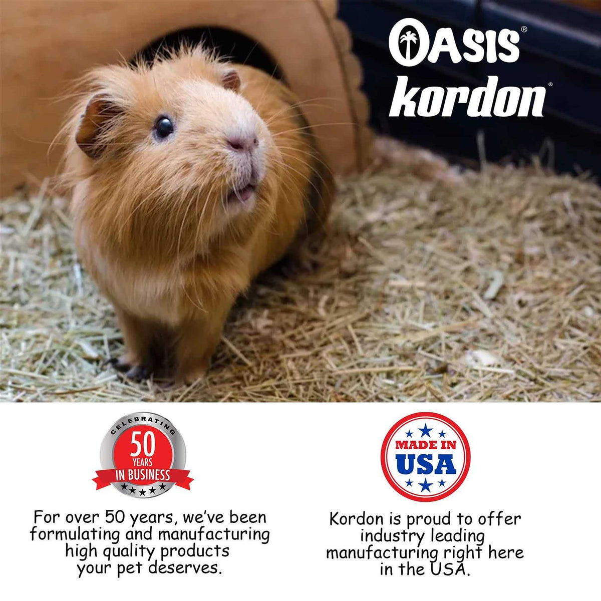 Pure C Guinea Pigs E207943