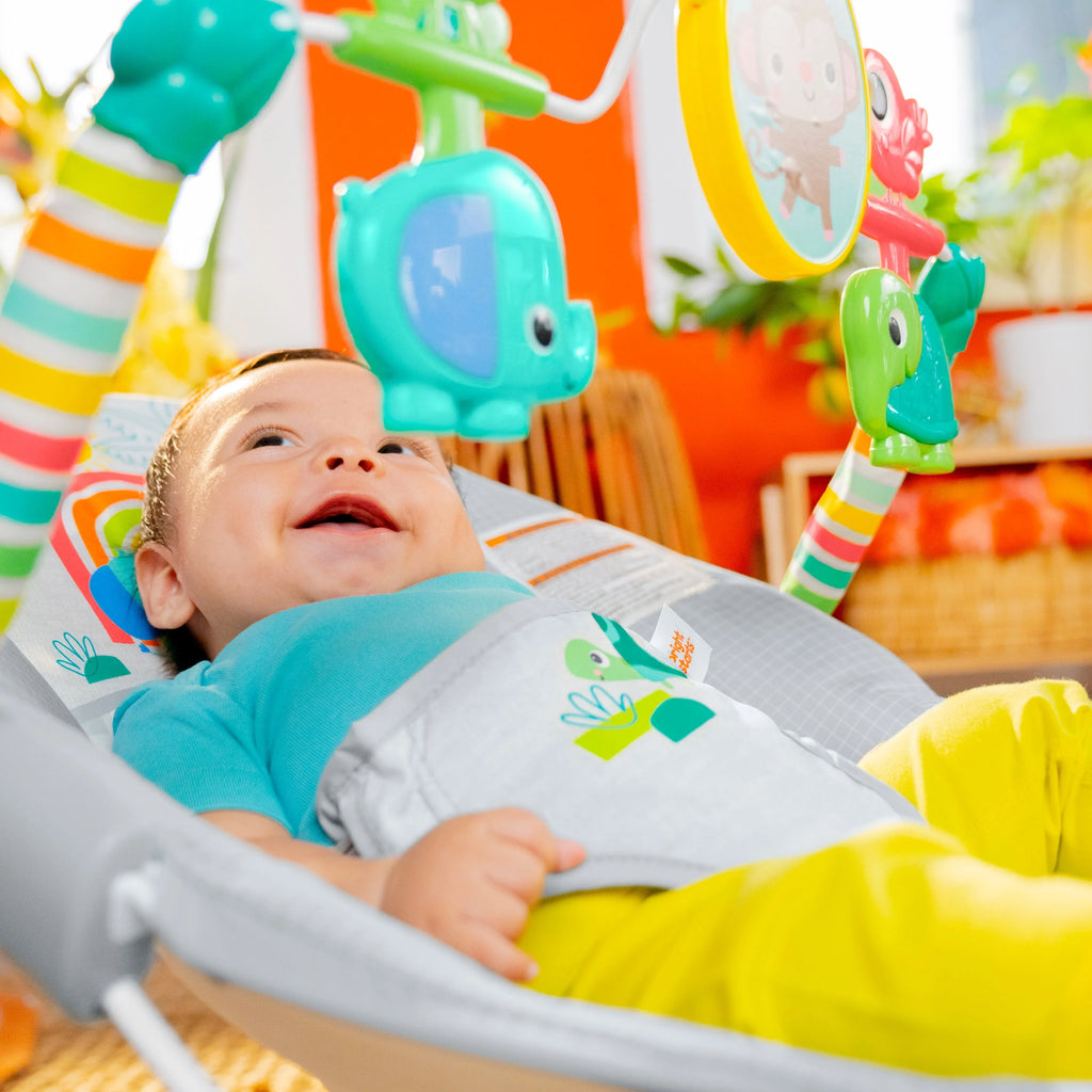 Vibrating Baby Bouncer Y51226