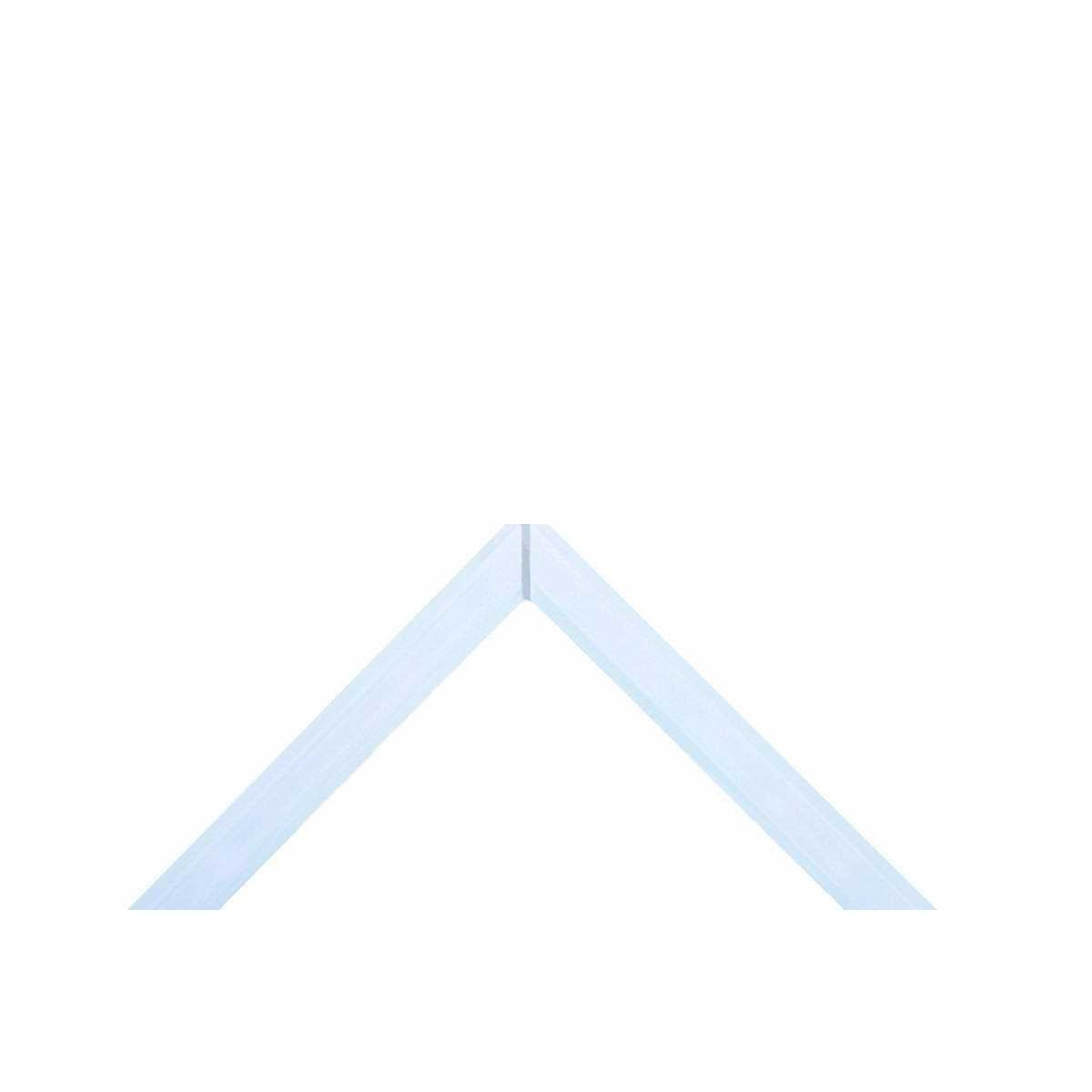 20 Gallon Ultra Clear Rimless Aquarium G63113