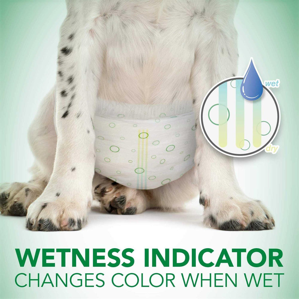Disposable Female Dog Diapers G532