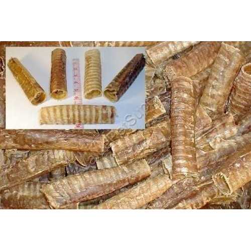 Beef Trachea 6 inch N2536