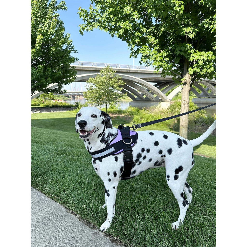 Dog Harness, No-Pull Pet Vest with 3 Leash Clips, Reflective, Adjustable and Padded I66175