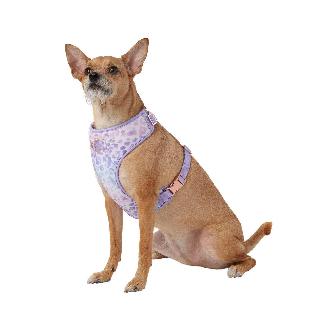 Dog Harness T409