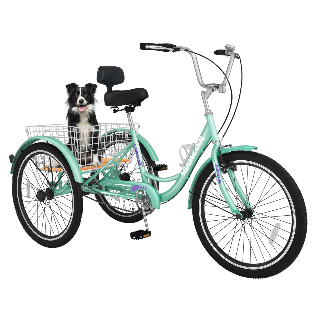 24 Single Speed Tricycle with Large Basket N127