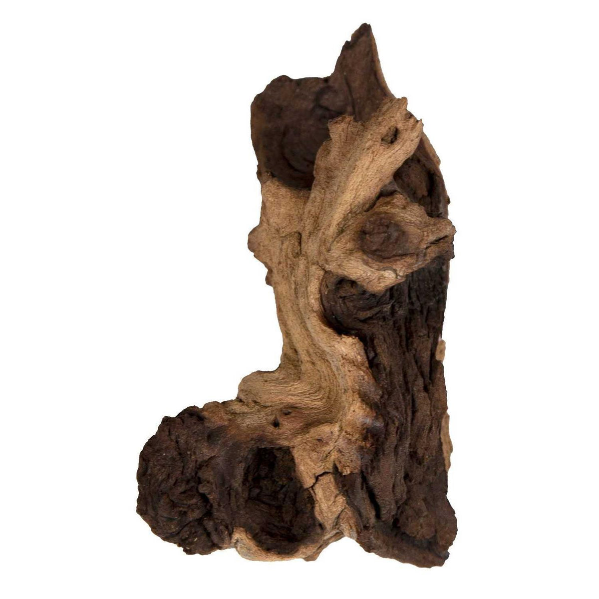 Mopani Wood G713195