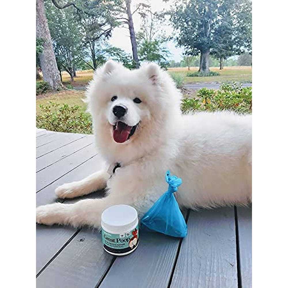 Probiotics for Dogs Digestive Enzymes Supplement E432