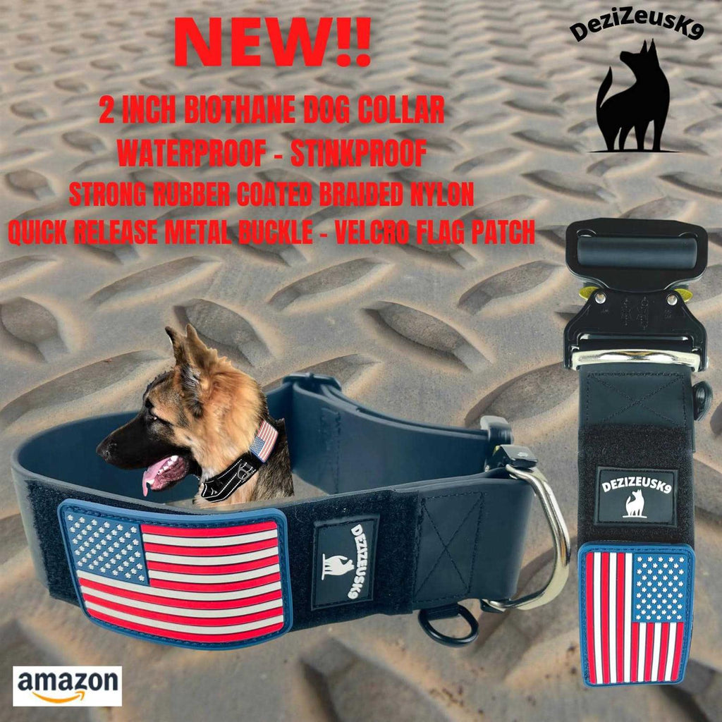 Heavy Duty Dog Leash Quick Release Locking Carabiner M378