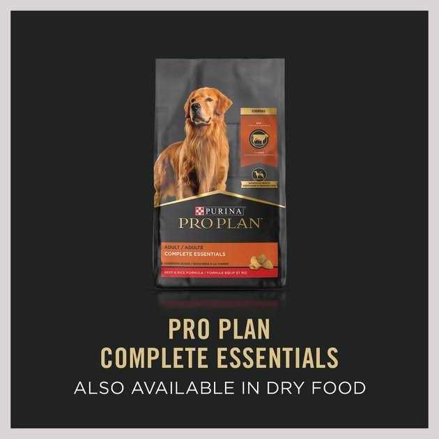 Beef Entree Wet Dog Food C82887