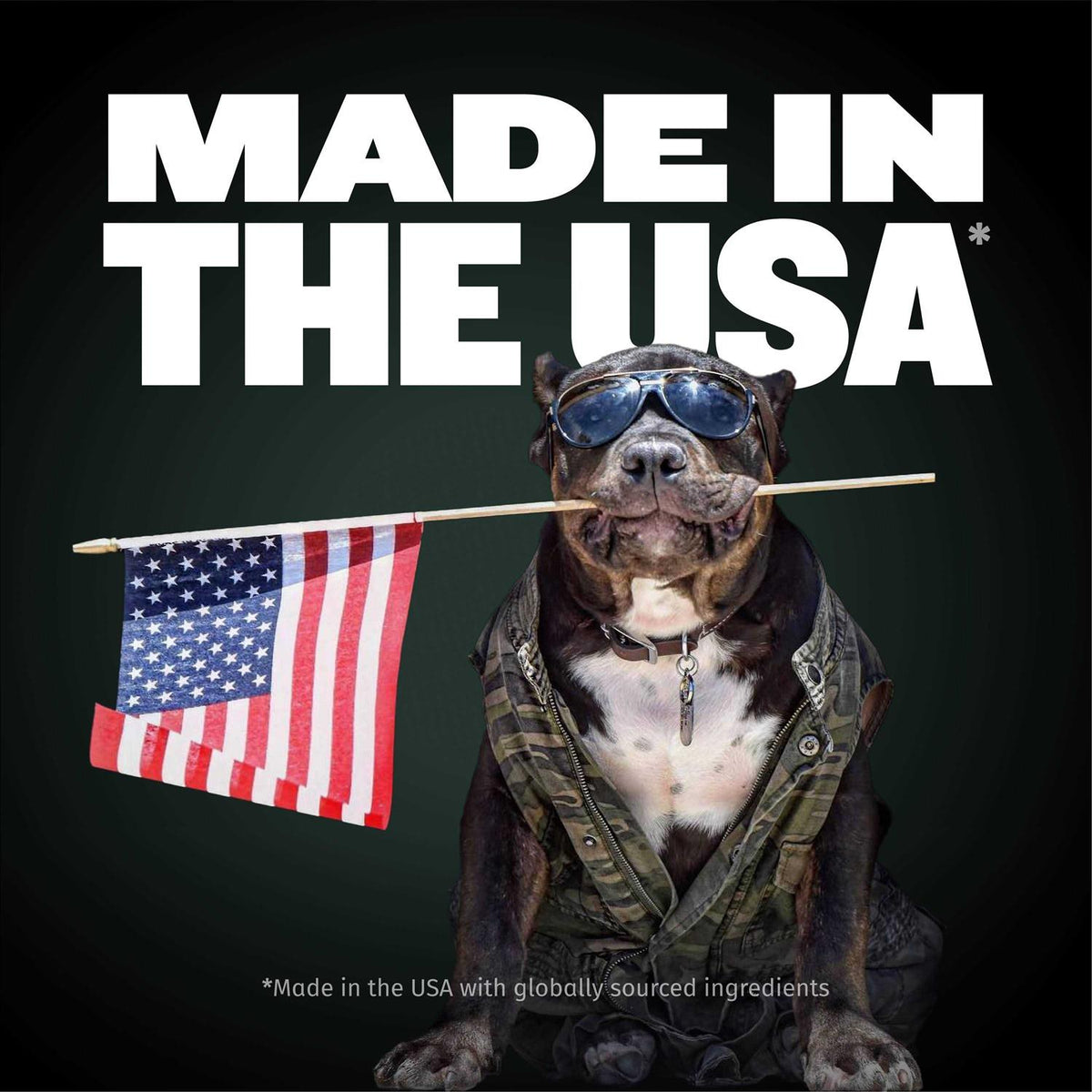 Muscle Building Chews for Dogs D788155