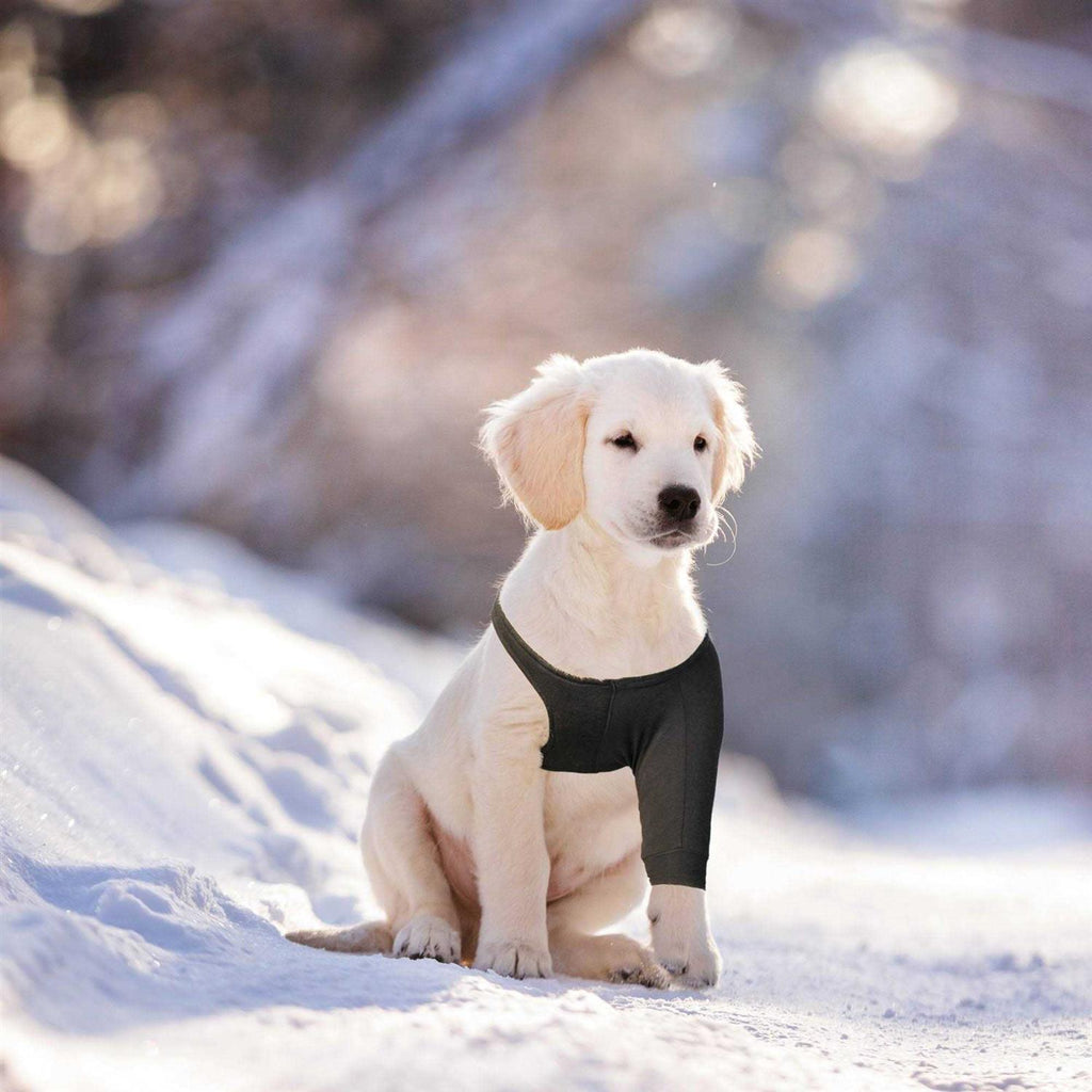 Dog Recovery Sleeve R5830