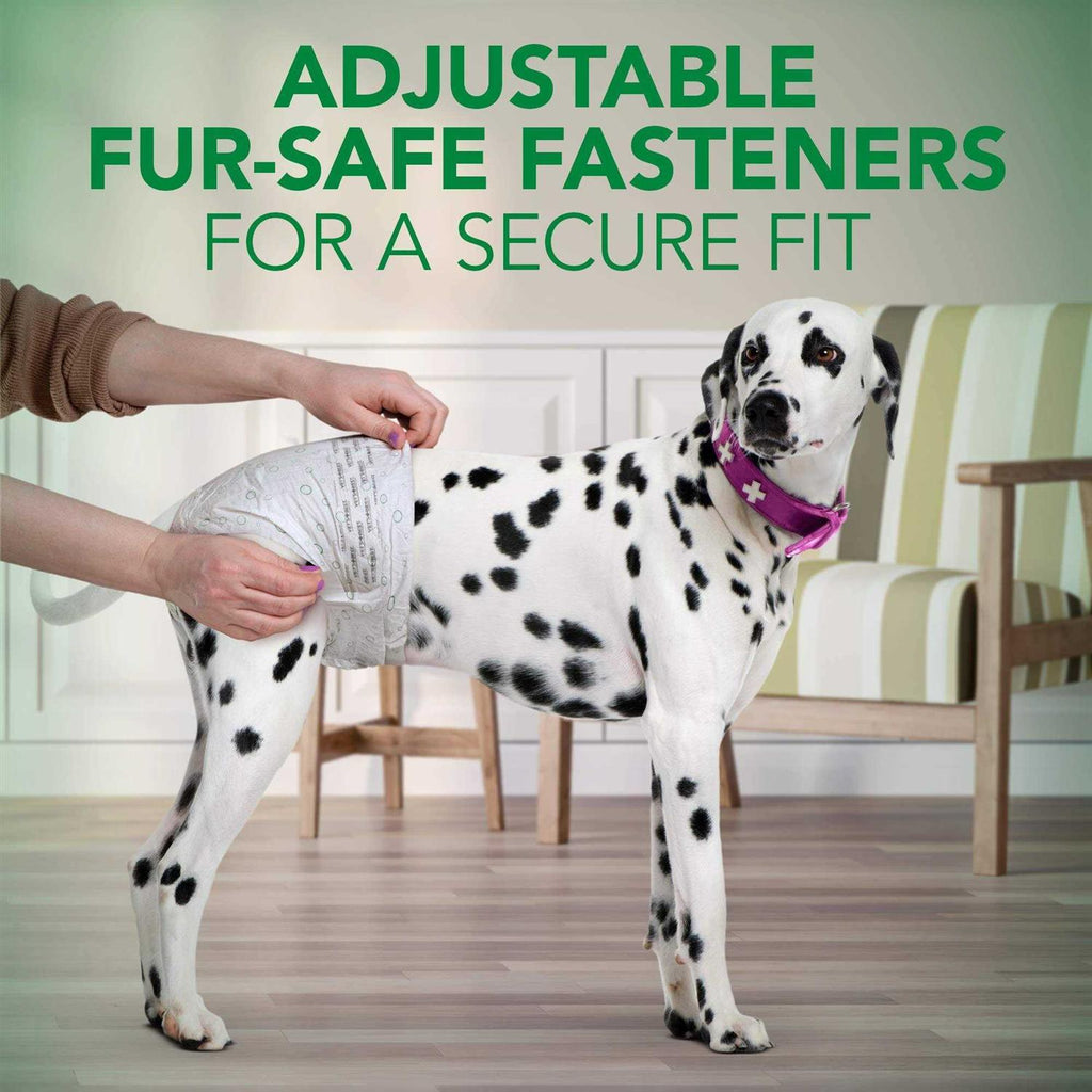 Disposable Female Dog Diapers G532