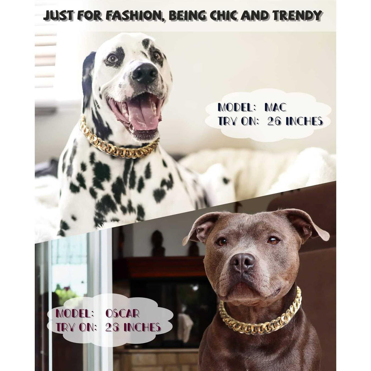 Gold Chain Cuban Link Dog Collar L3955