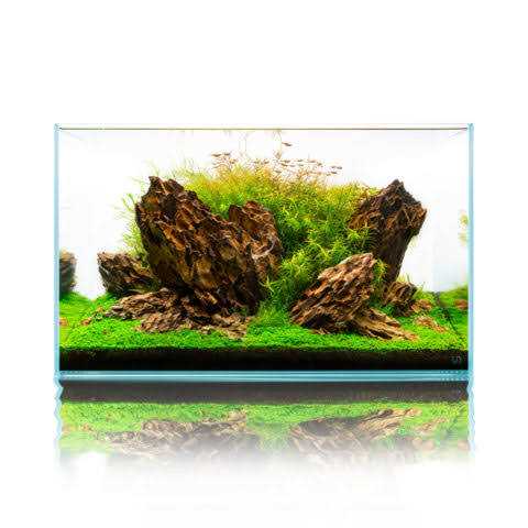 20 Gallon Ultra Clear Rimless Aquarium G63113