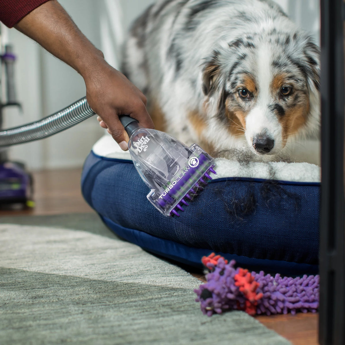 Pet Vacuum Cleaner Q379
