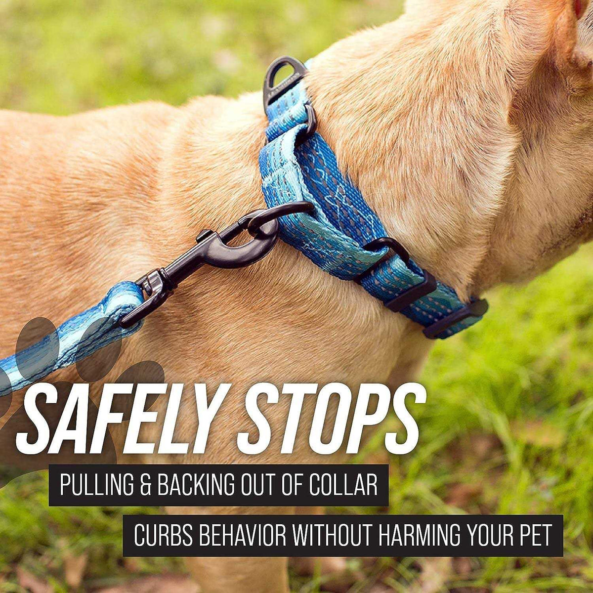Patterned Fabric Martingale Dog Collar Q443