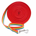 Long Lead Leash L643517
