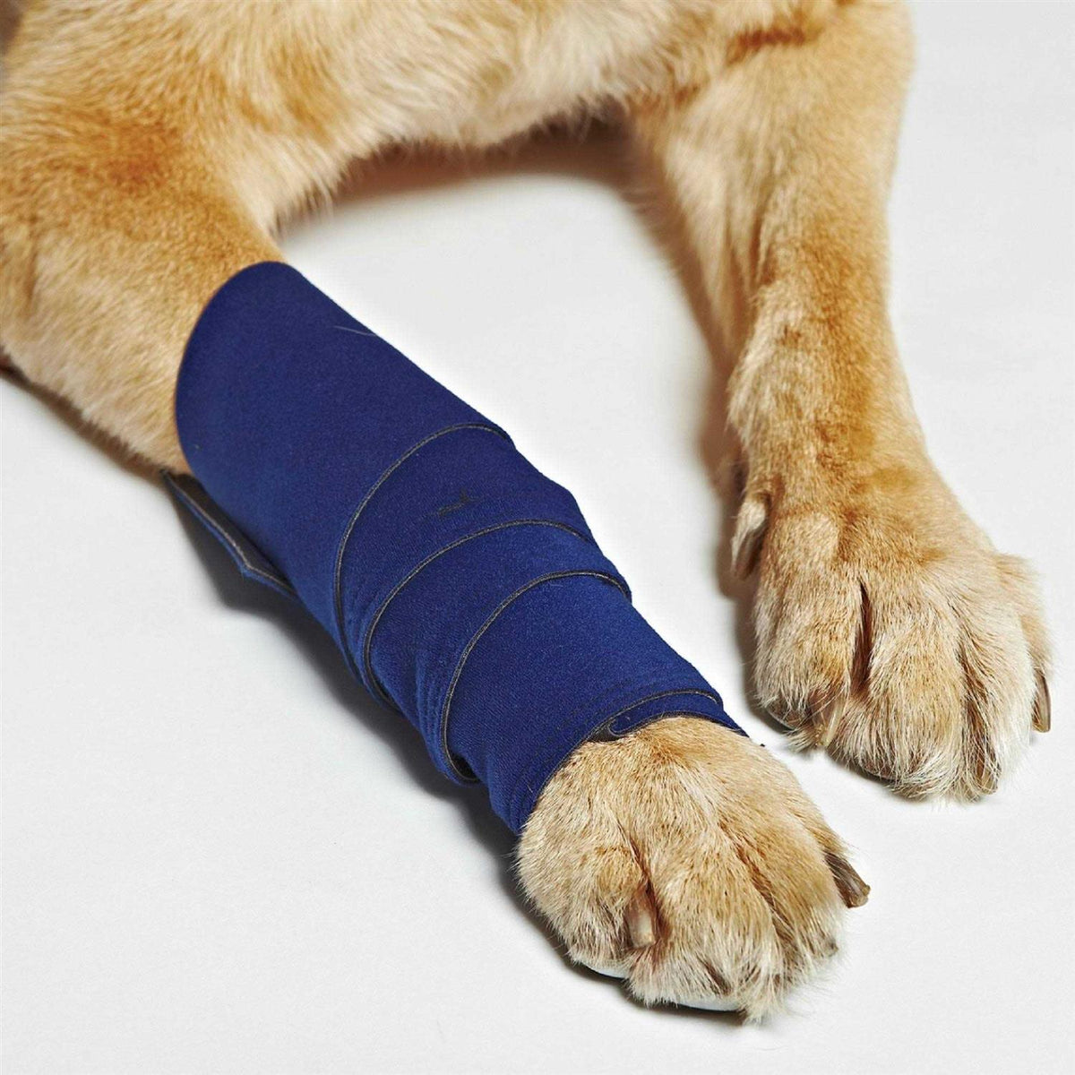 Dog Wraps U98280