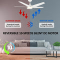 52-inch Indoor/Outdoor Smart Ceiling Fan with LED Light Kit & Remote B7387
