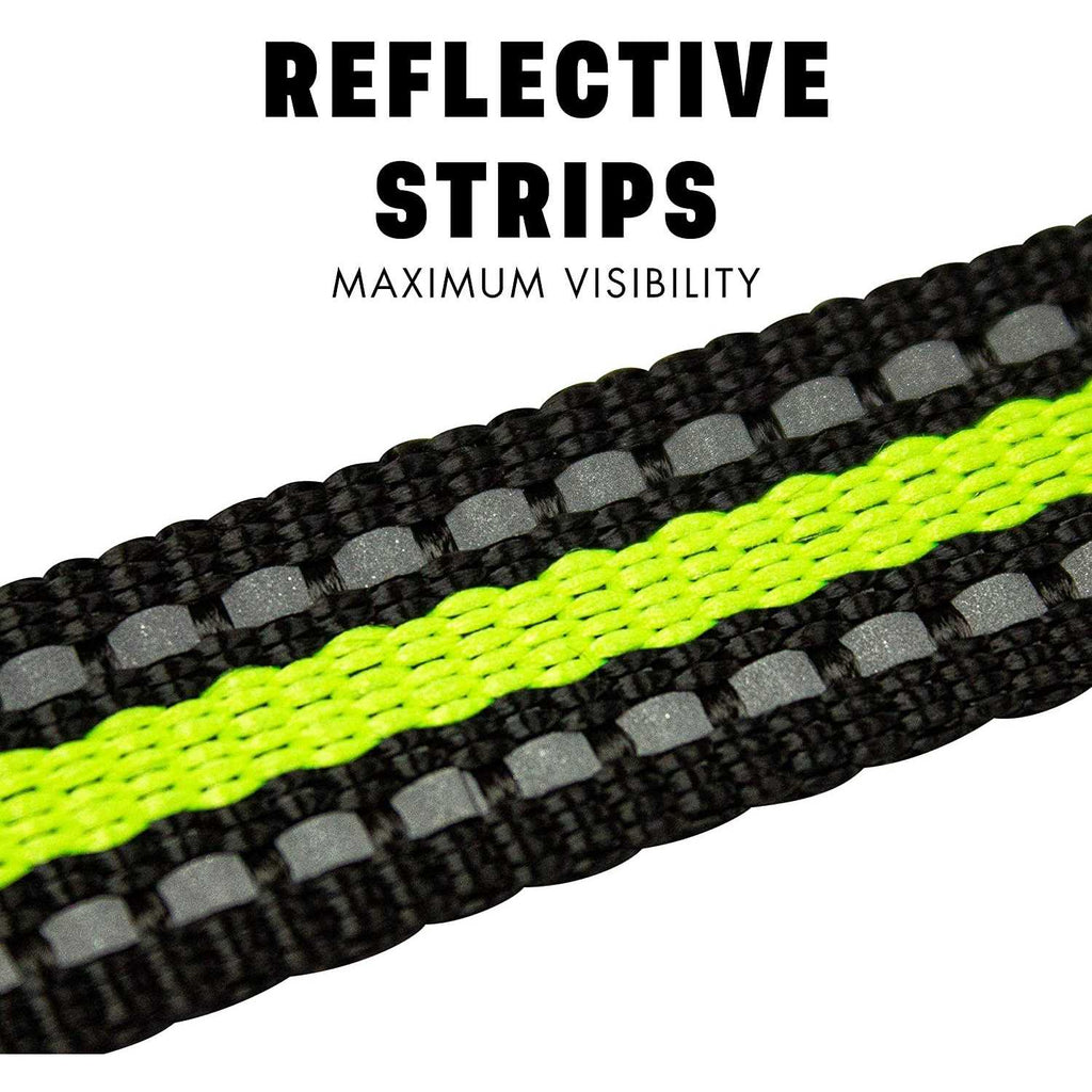 Long Lead Leash L643517