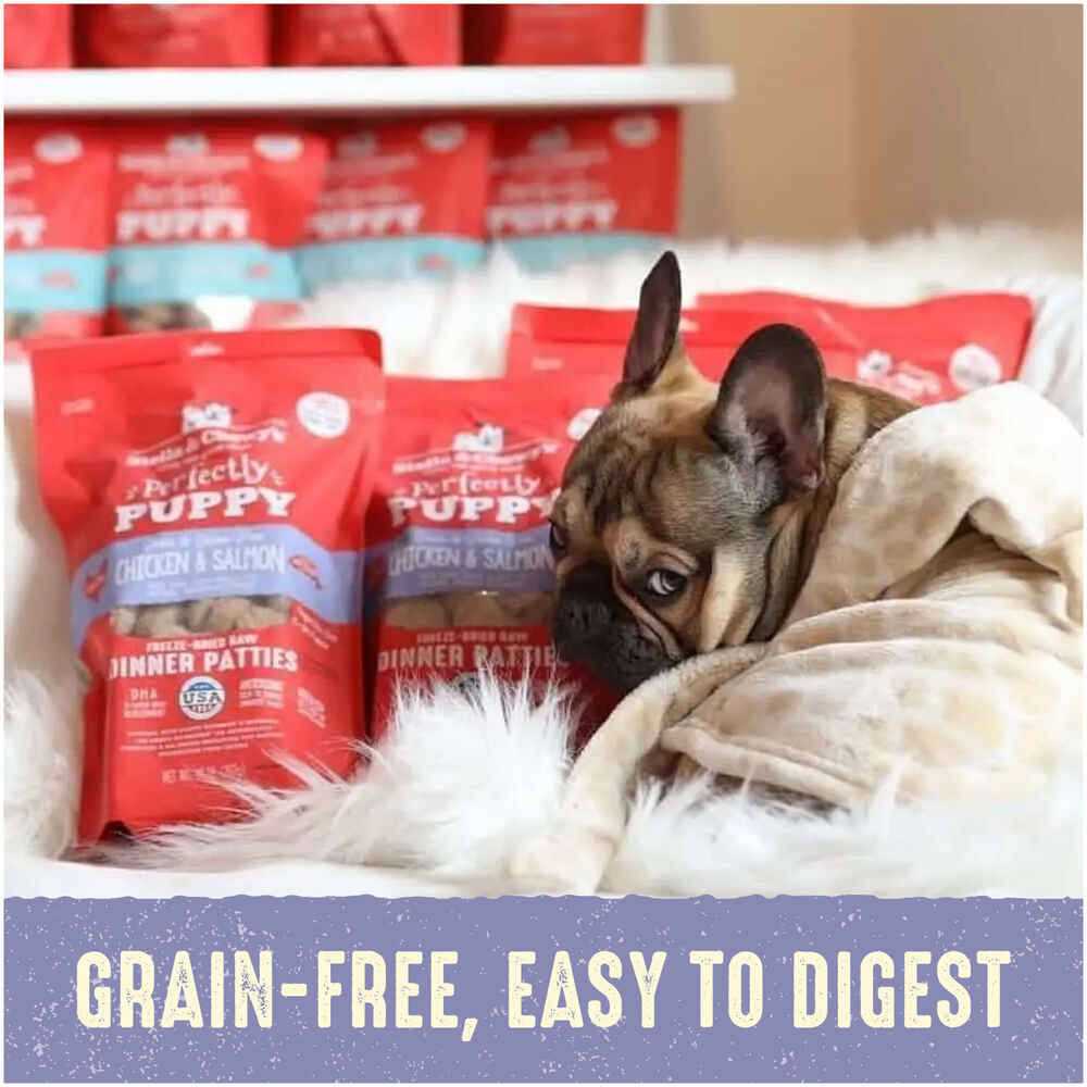 Freeze-Dried Raw Dog Food Salmon Patties J1205
