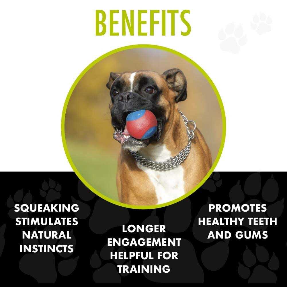 Ball Dog Toy F89582