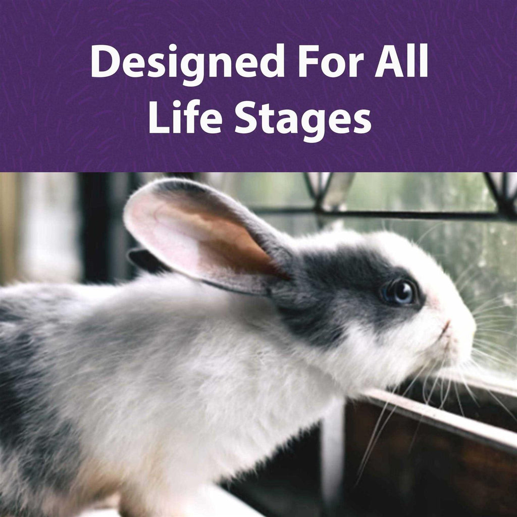 Timothy Based Rabbit Diet U729388
