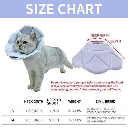 Soft Adjustable Cat Recovery Collar P374865