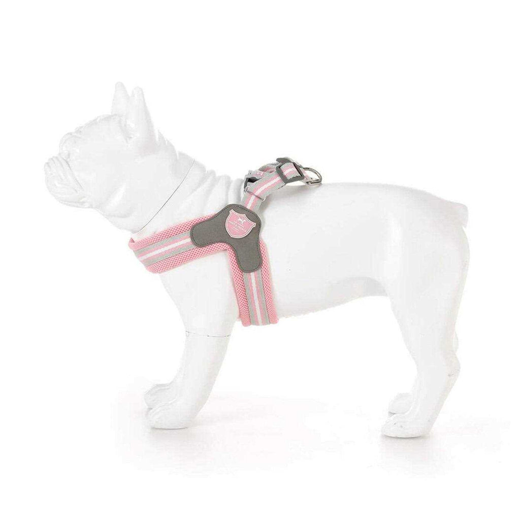 Dog Harness P832051