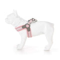 Dog Harness P832051