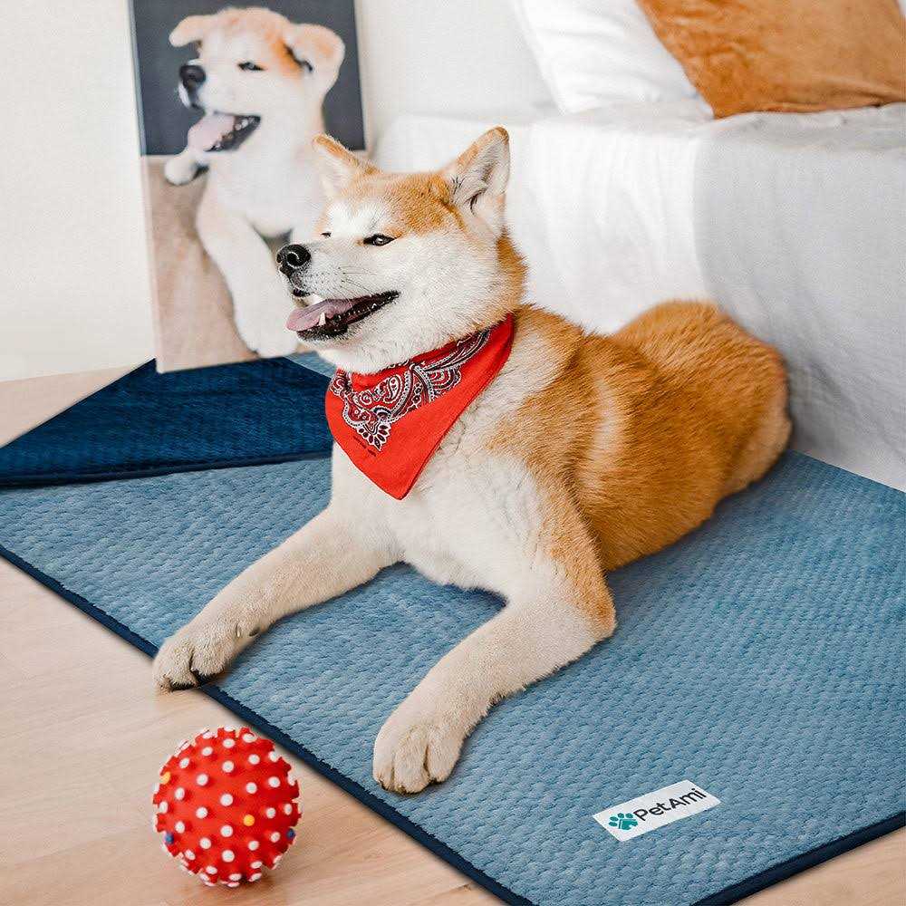 Sherpa Fleece Waterproof Cat & Dog Blanket Q51998