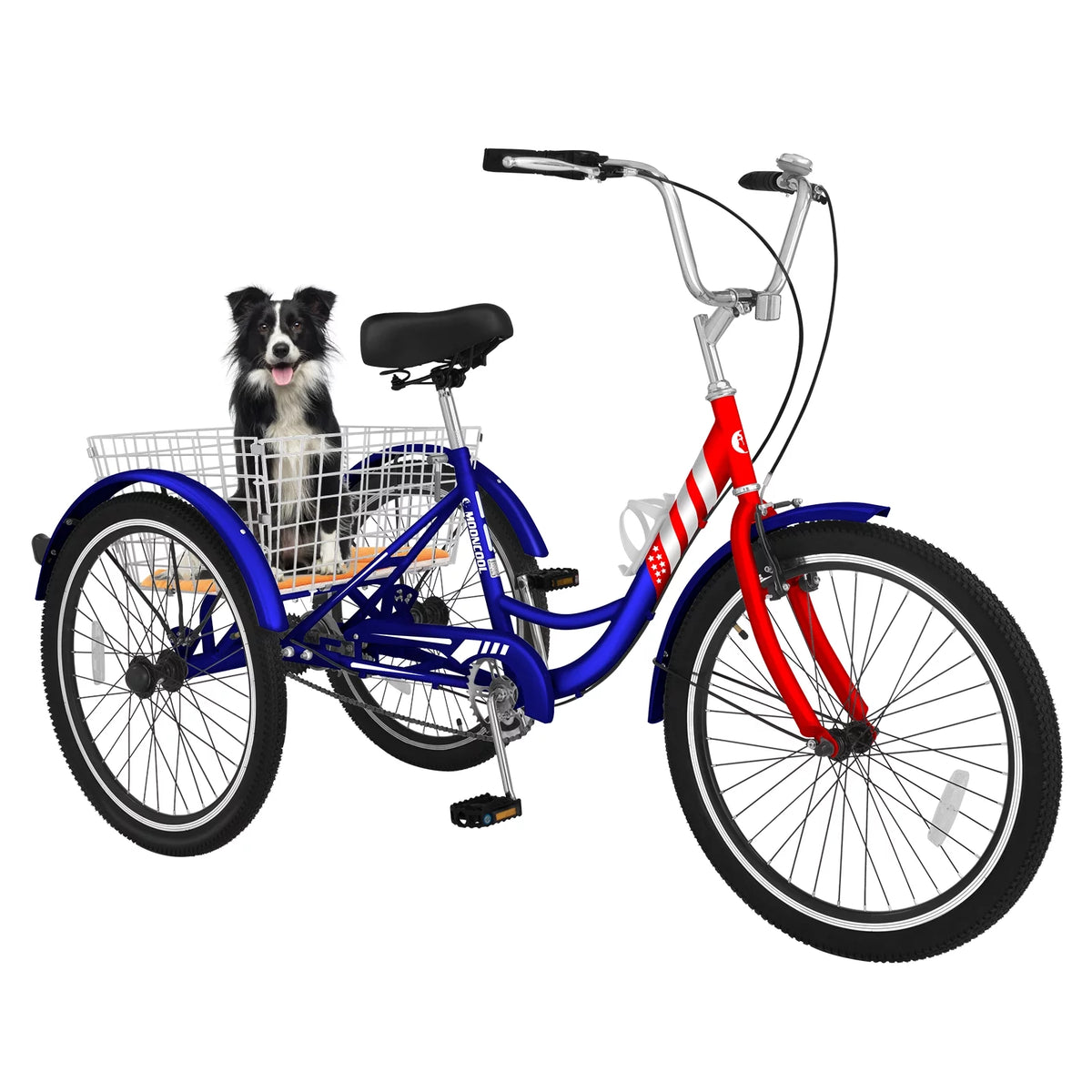 24 Single Speed Tricycle with Large Basket N127